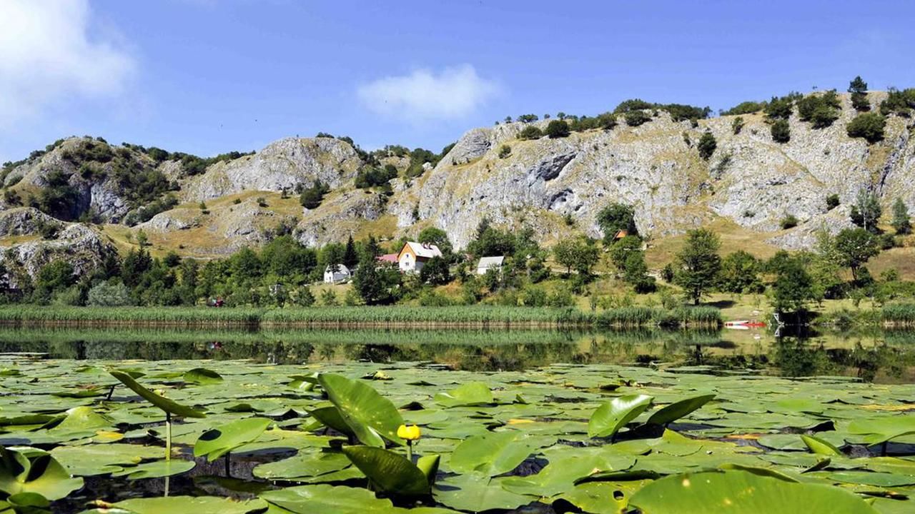 Дома для отпуска VILLAGE HOUSE ALEKSIĆ Pošćenje-6