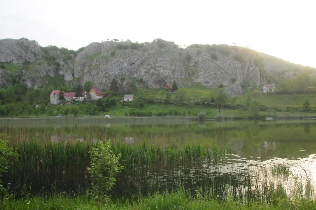 Дома для отпуска VILLAGE HOUSE ALEKSIĆ Pošćenje-49