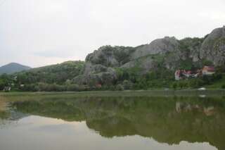 Дома для отпуска VILLAGE HOUSE ALEKSIĆ Pošćenje Дом для отпуска-34