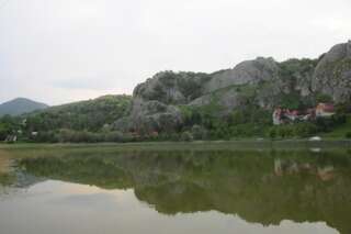 Дома для отпуска VILLAGE HOUSE ALEKSIĆ Pošćenje Дом для отпуска-56